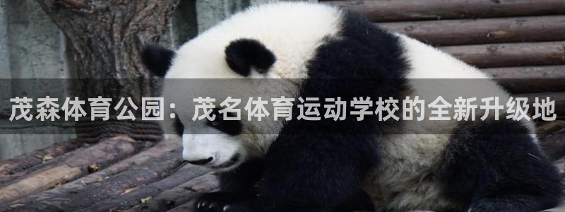 betway西汉姆官网
