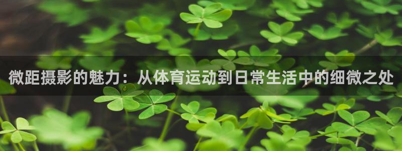 betway西汉姆