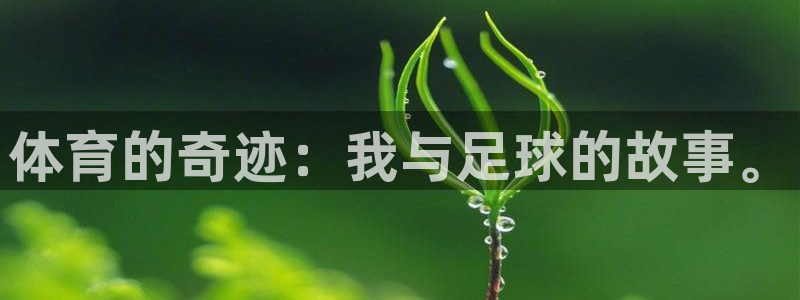 betway西汉姆