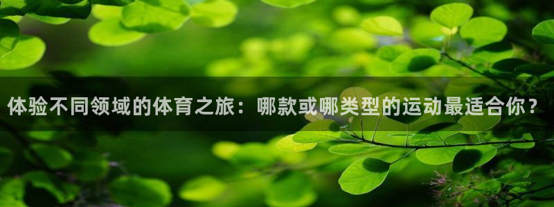 betway西汉姆联
