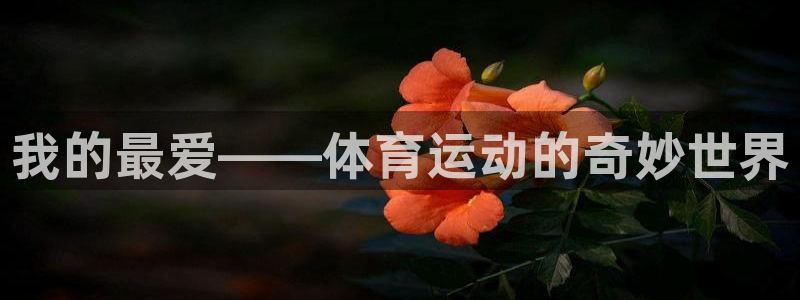 betway西汉姆联官网