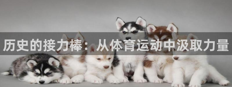betway西汉姆联官网