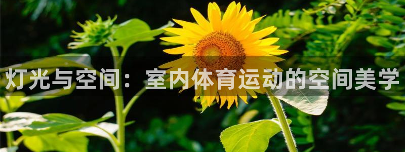 betway西汉姆官网