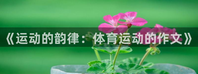 betway西汉姆