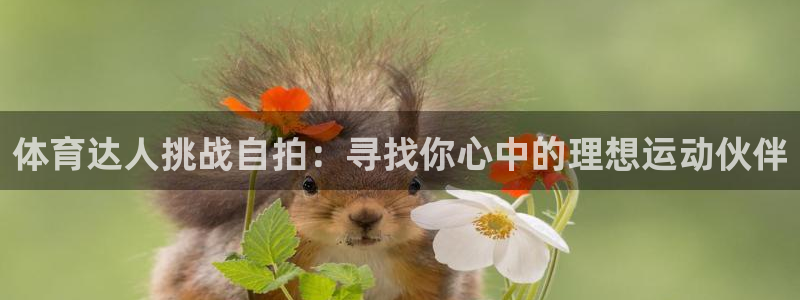 betway西汉姆